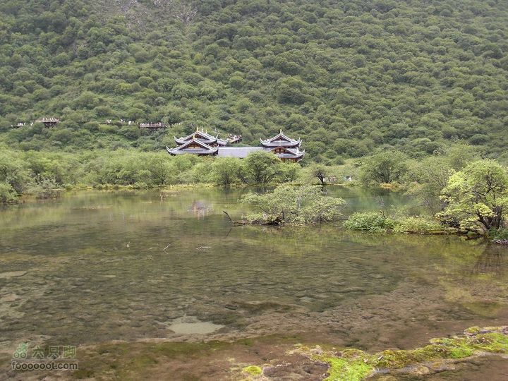 兰州-武都-九寨沟-甘南CIMG1488_眸目压缩_眸目压缩