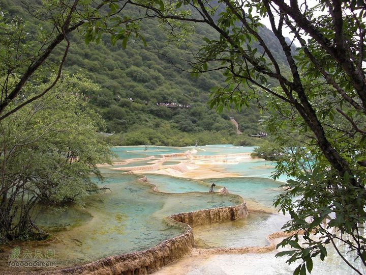 兰州-武都-九寨沟-甘南CIMG1491_眸目压缩_眸目压缩