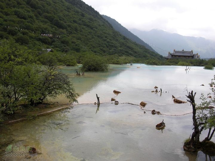 兰州-武都-九寨沟-甘南CIMG1495_眸目压缩_眸目压缩