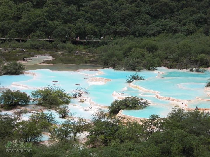 兰州-武都-九寨沟-甘南CIMG1502_眸目压缩_眸目压缩