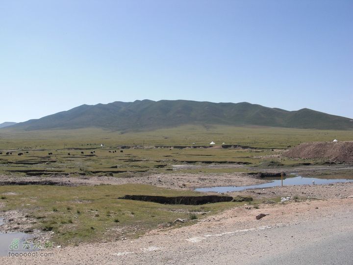 兰州-互助-西宁-龙羊峡从这走上一条县道，路还真不错，听着 许巍 完美生活
