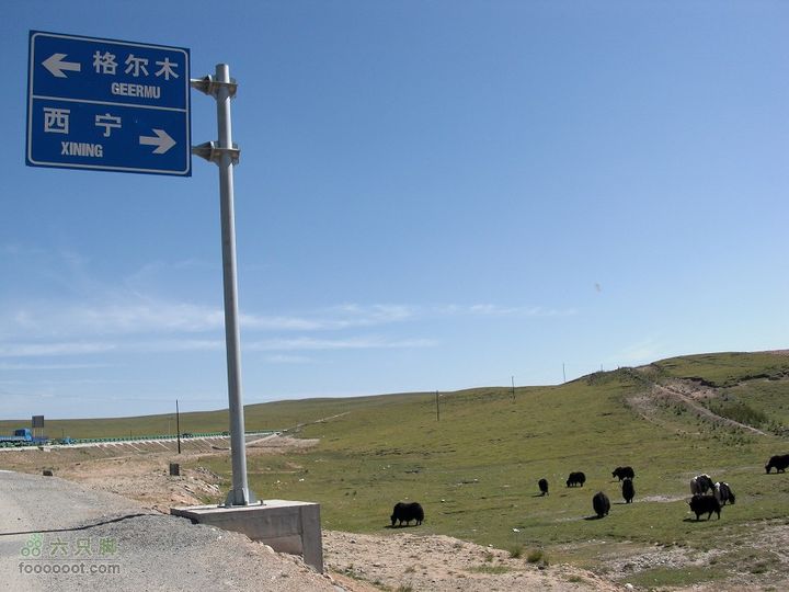 兰州-互助-西宁-龙羊峡从这走上一条县道，路还真不错，听着 许巍 完美生活