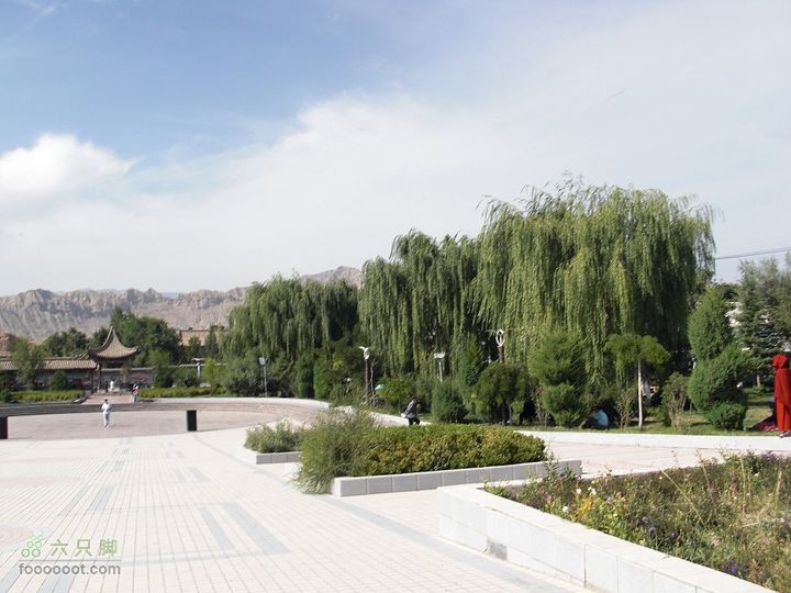 兰州-互助-西宁-龙羊峡CIMG1627_眸目压缩_眸目压缩