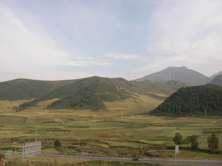 兰州-互助-西宁-龙羊峡CIMG1654_眸目压缩_眸目压缩