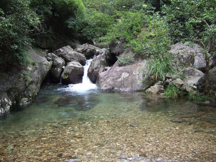中坡山森林公园（网友又称交坑）瀑布及溪水