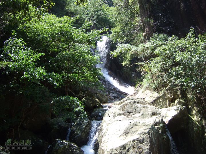 中坡山森林公园（网友又称交坑）溪水