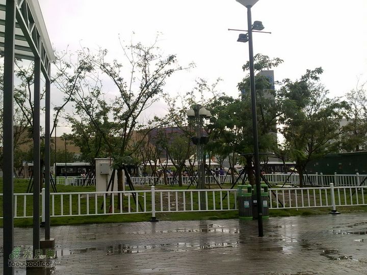 世博游第一日之风雨同行雨后