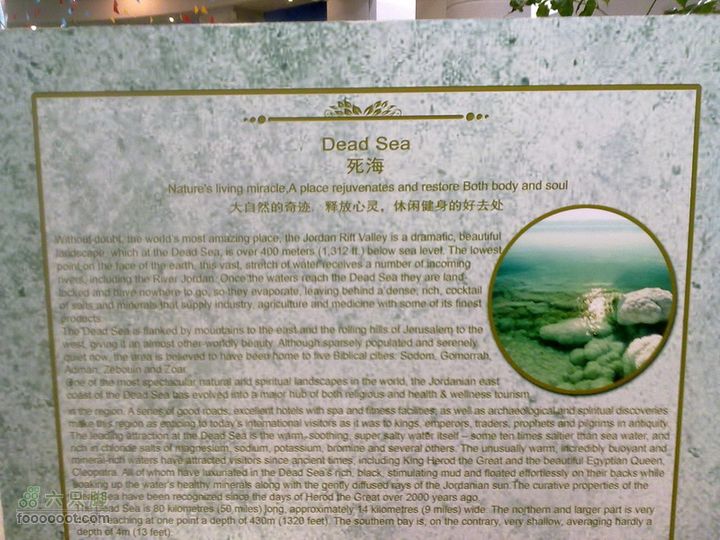 世博游第一日之风雨同行死海