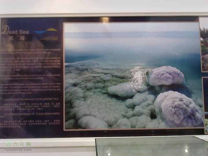 世博游第一日之风雨同行死海