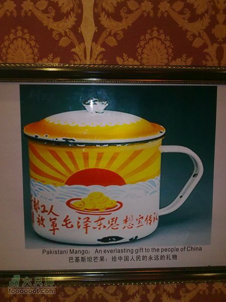 世博游第一日之风雨同行与我国深厚的情谊