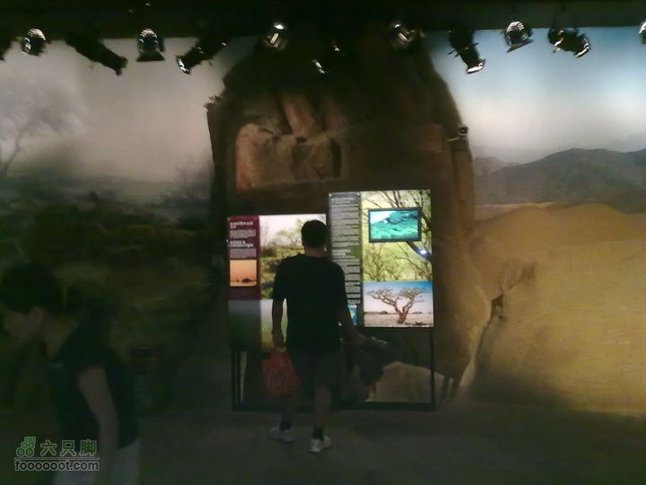 世博游第一日之风雨同行不为别的，只为避雨