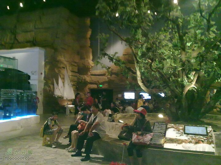 世博游第一日之风雨同行忘记是在哪个馆里避雨