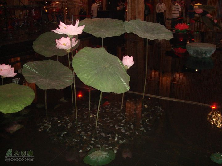世博游第一日之风雨同行荷花池