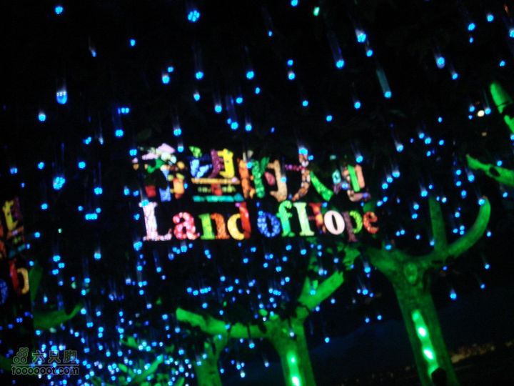 世博游第一日之风雨同行希望大地