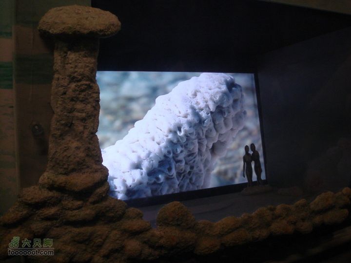 世博游第一日之风雨同行放大片