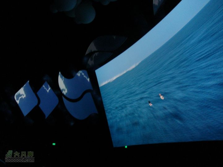 世博游第一日之风雨同行飞翔