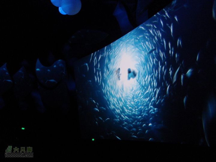 世博游第一日之风雨同行潜水