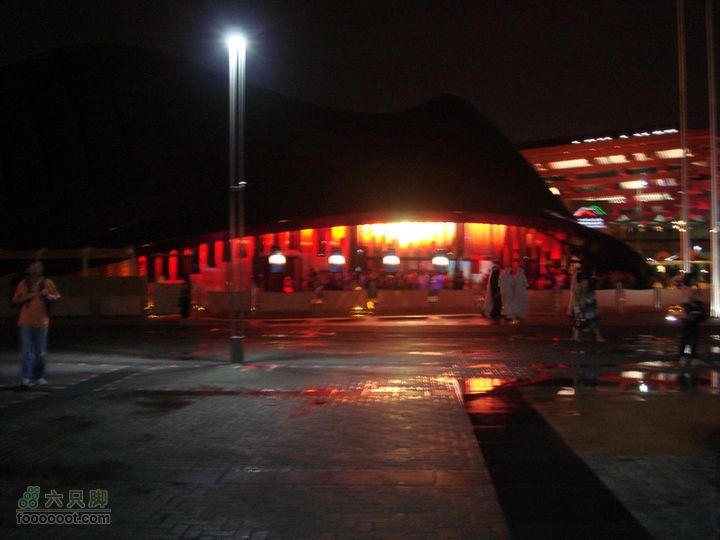 世博游第一日之风雨同行离开阿联酋馆