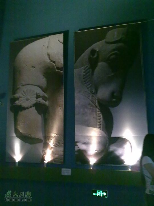 世博游第一日之风雨同行看不懂是什么