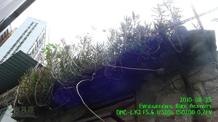 20100825紅磡>慈雲山>將軍澳>紅磡P1310768