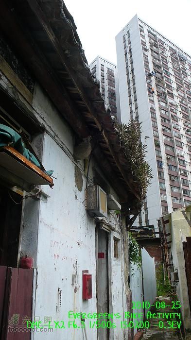 20100825紅磡>慈雲山>將軍澳>紅磡P1310771