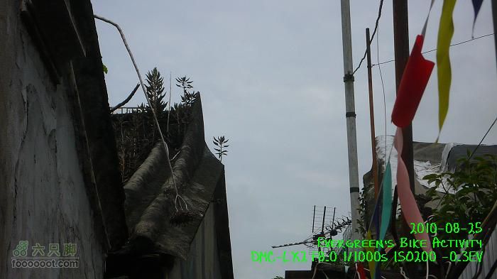 20100825紅磡>慈雲山>將軍澳>紅磡P1310778