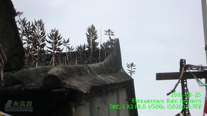 20100825紅磡>慈雲山>將軍澳>紅磡P1310779