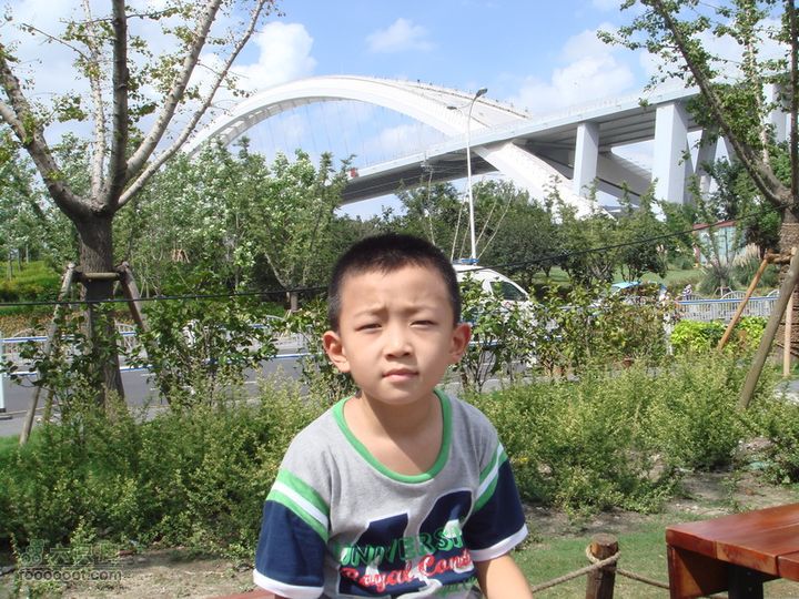 世博游第二日之父子畅游阳光很足，晒蔫了