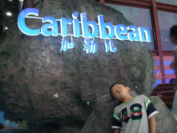 世博游第二日之父子畅游加勒比
