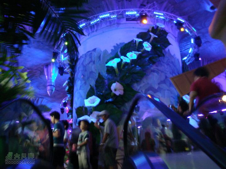 世博游第二日之父子畅游花的城市
