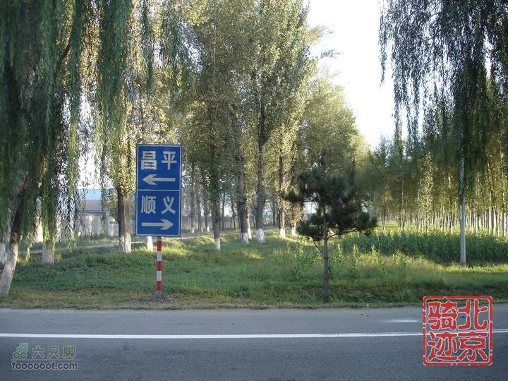 北京骑迹28 寻访百年枣树王 品尜尜皇室贡枣nEO_IMG_DSC05354