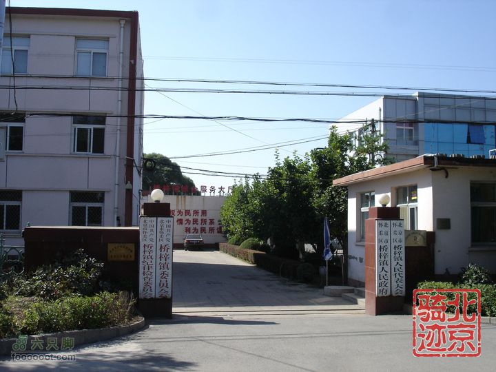 北京骑迹28 寻访百年枣树王 品尜尜皇室贡枣怀柔区桥梓镇政府