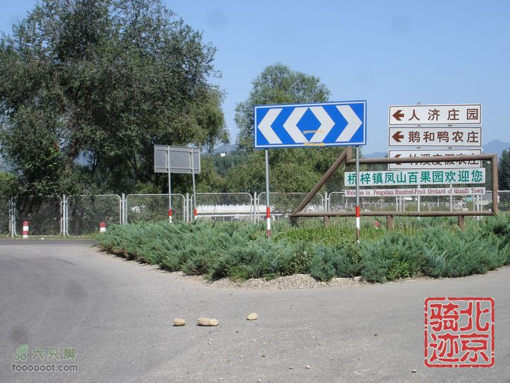 北京骑迹28 寻访百年枣树王 品尜尜皇室贡枣nEO_IMG_DSC05417