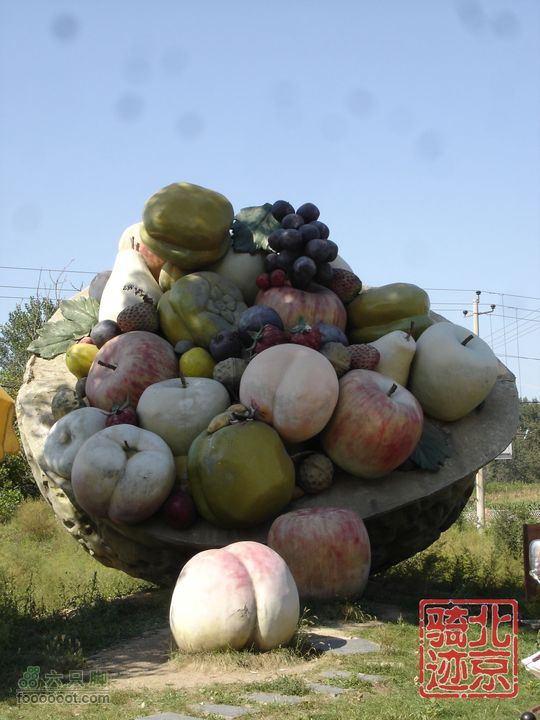 北京骑迹28 寻访百年枣树王 品尜尜皇室贡枣nEO_IMG_DSC05420