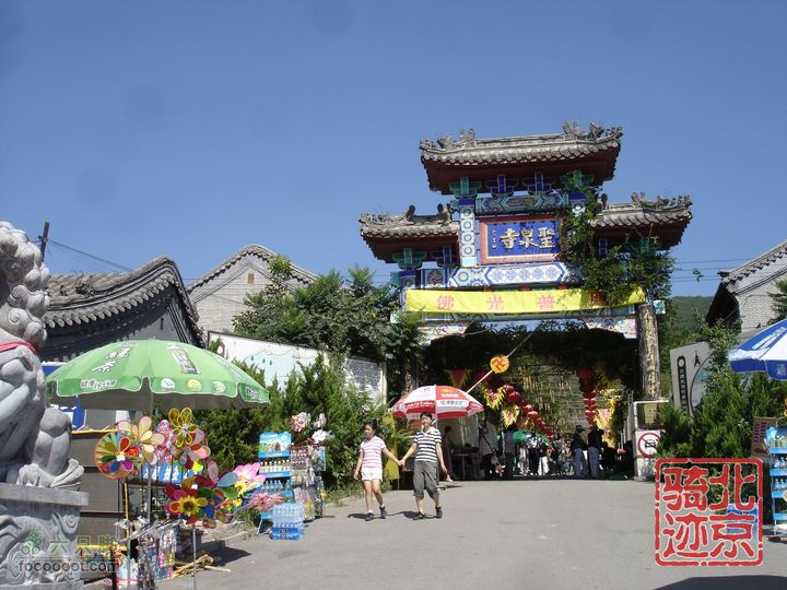 北京骑迹28 寻访百年枣树王 品尜尜皇室贡枣圣泉山旅游风景区