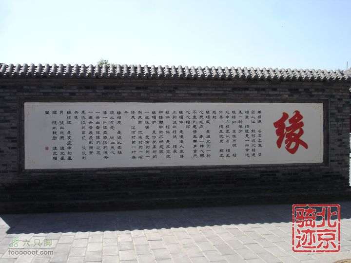 北京骑迹28 寻访百年枣树王 品尜尜皇室贡枣nEO_IMG_DSC05450