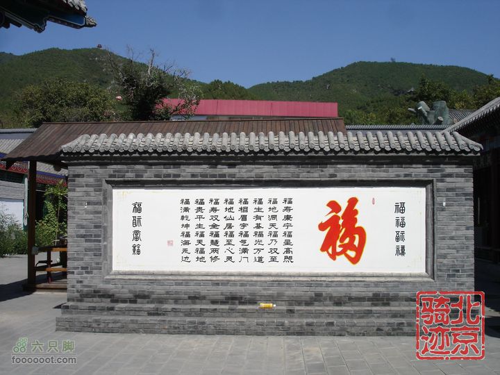 北京骑迹28 寻访百年枣树王 品尜尜皇室贡枣nEO_IMG_DSC05451