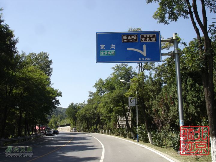北京骑迹28 寻访百年枣树王 品尜尜皇室贡枣nEO_IMG_DSC05453