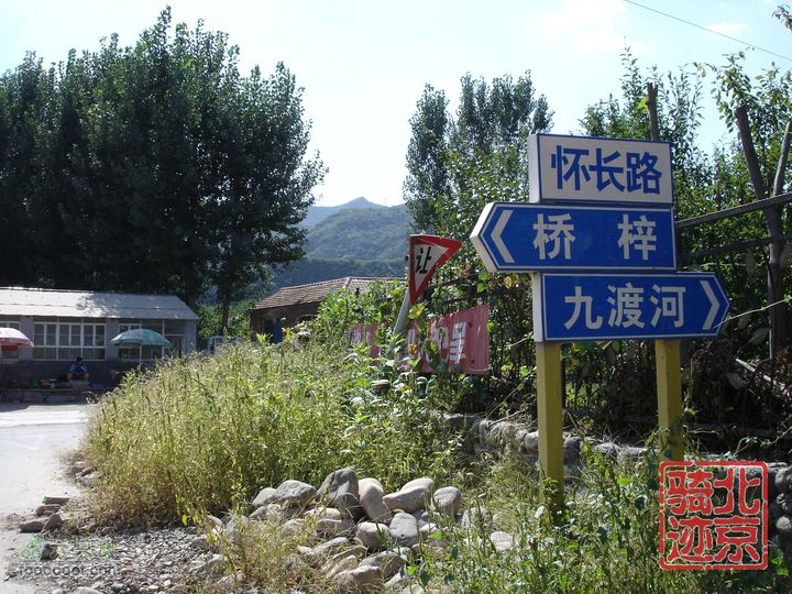 北京骑迹28 寻访百年枣树王 品尜尜皇室贡枣nEO_IMG_DSC05470