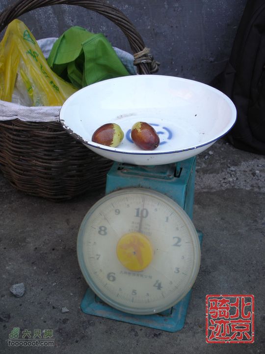 北京骑迹28 寻访百年枣树王 品尜尜皇室贡枣尜尜枣