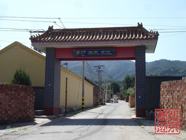 北京骑迹28 寻访百年枣树王 品尜尜皇室贡枣红林村