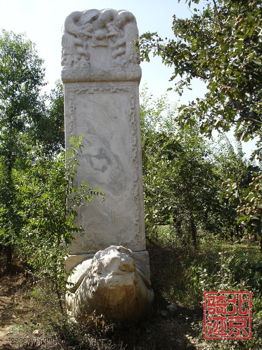 北京骑迹28 寻访百年枣树王 品尜尜皇室贡枣哈尔布武碑