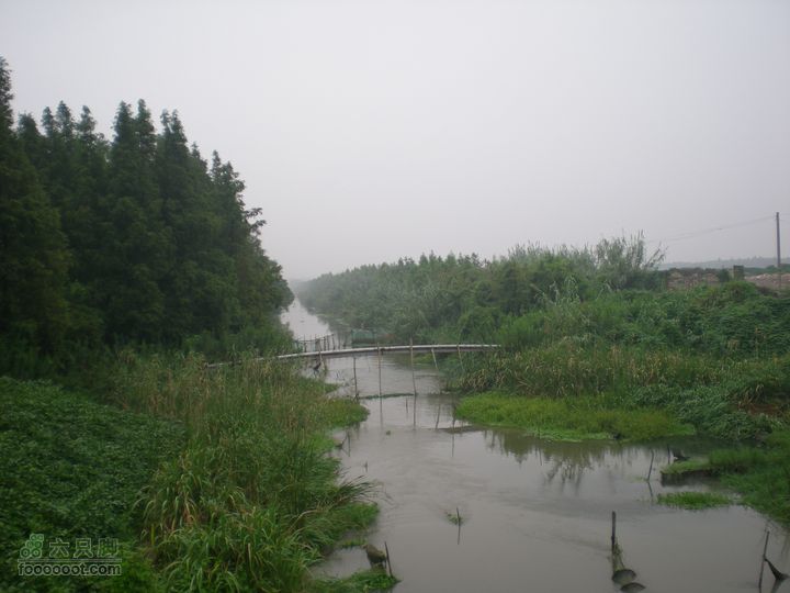 上海奉贤至南汇骑行随处可见的小河