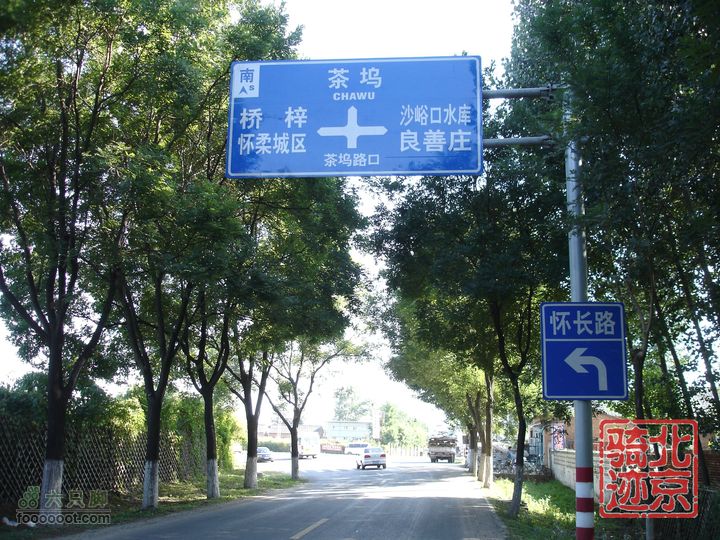 北京骑迹28 寻访百年枣树王 品尜尜皇室贡枣nEO_IMG_DSC05491