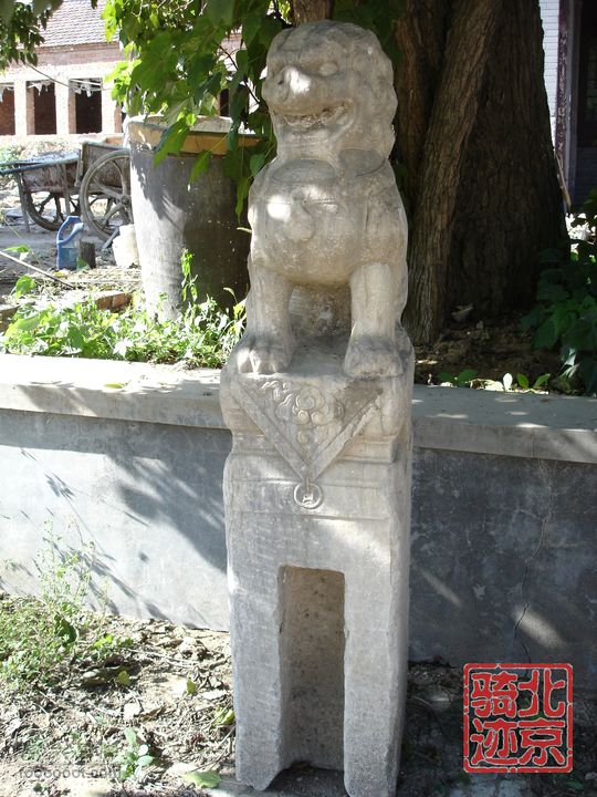 北京骑迹28 寻访百年枣树王 品尜尜皇室贡枣水母娘娘庙前守候的石狮