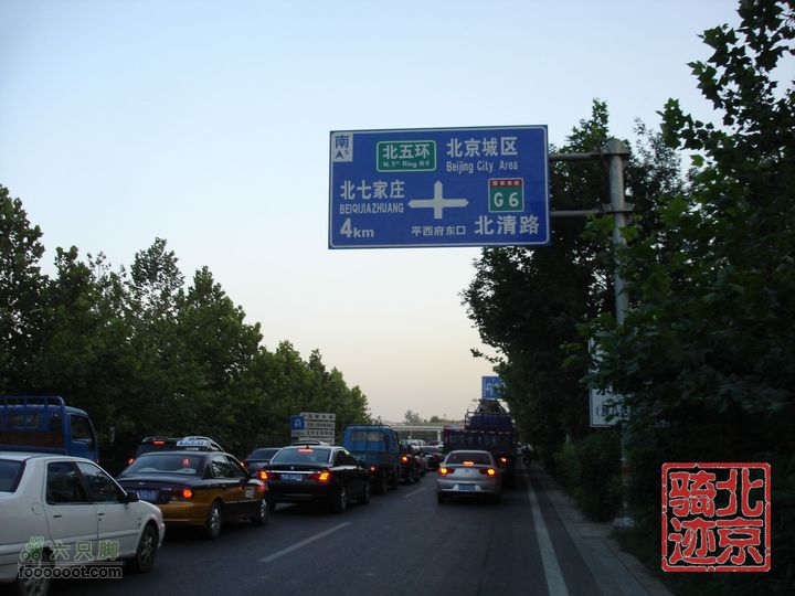 北京骑迹28 寻访百年枣树王 品尜尜皇室贡枣平西府路口
