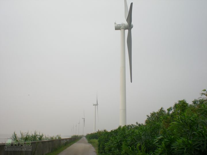 上海奉贤至南汇骑行风力发电