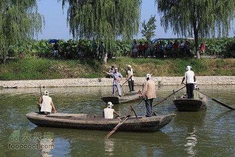 20100911白洋淀IMG_1958_眸目压缩