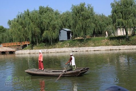 20100911白洋淀IMG_1965_眸目压缩