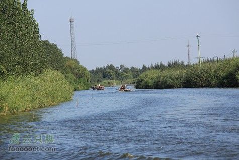 20100911白洋淀IMG_2006_眸目压缩